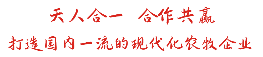 尊龙新版官网网页版入口