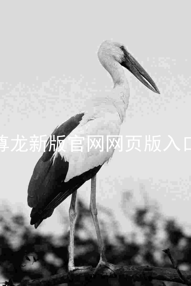 尊龙新版官网网页版入口