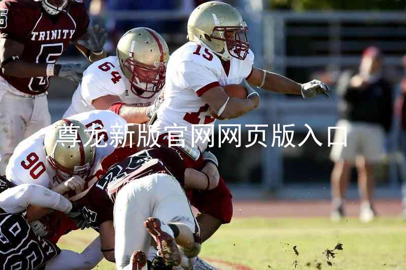 尊龙新版官网网页版入口